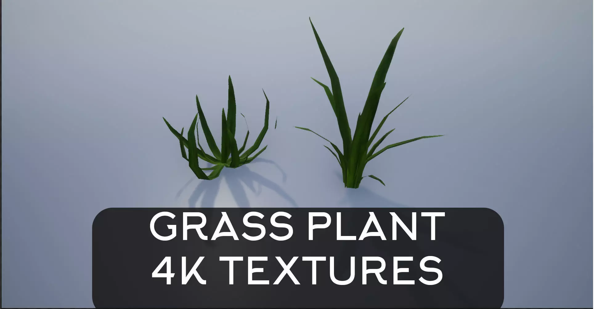 4K Wide Leafed Grass Plant Low-poly 3D model
