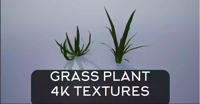 4K Wide Leafed Grass Plant Low-poly 3D model
