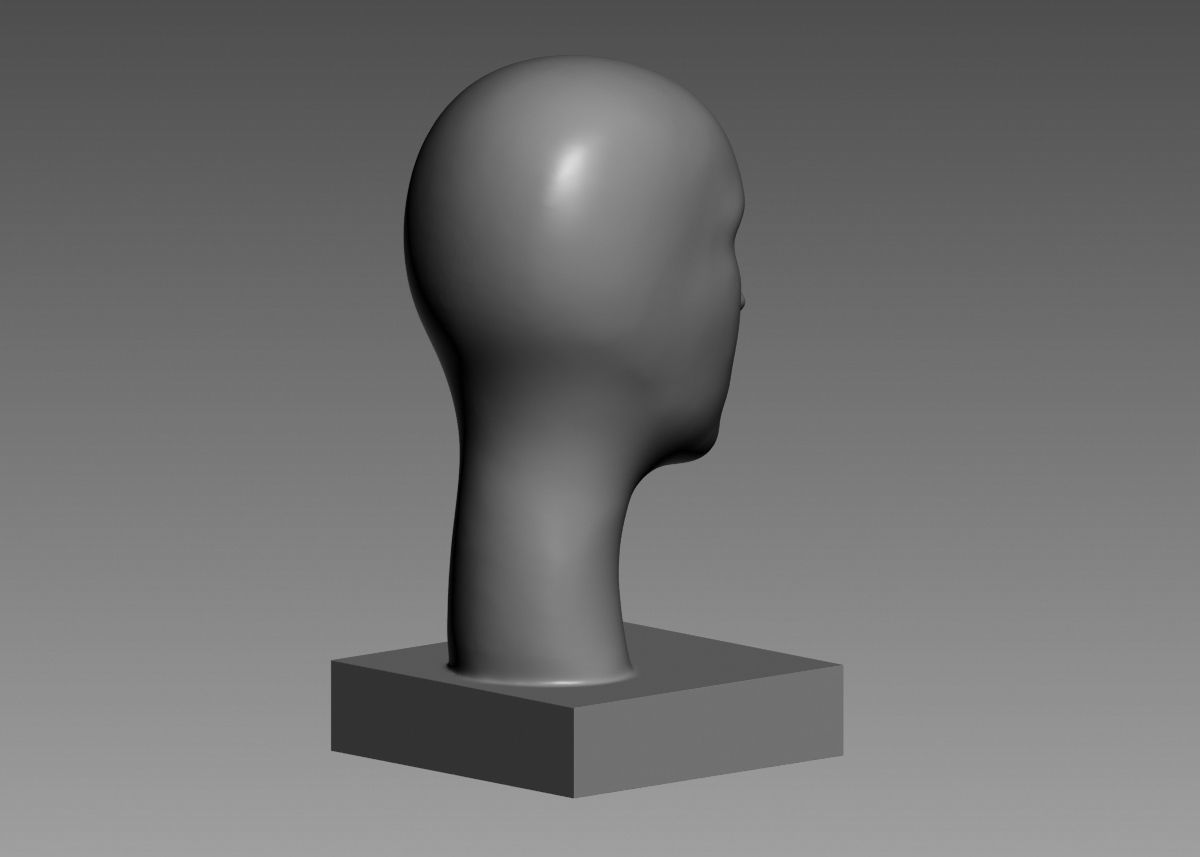Modern concept head sculpture 3d print model 3D model 3D printable