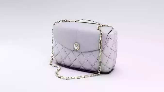 womens purse - two different colors