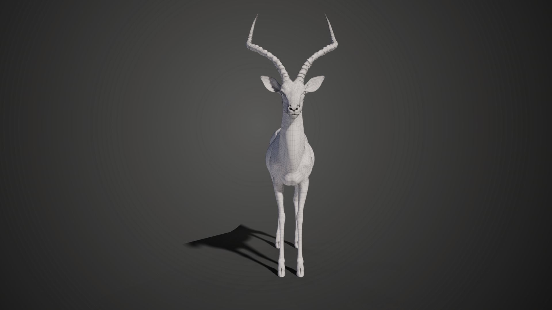Impala Animated 3D model_16