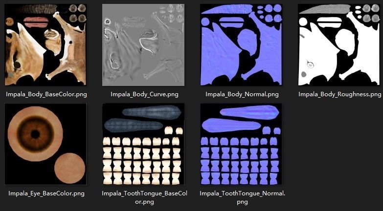 Impala Animated 3D model_20