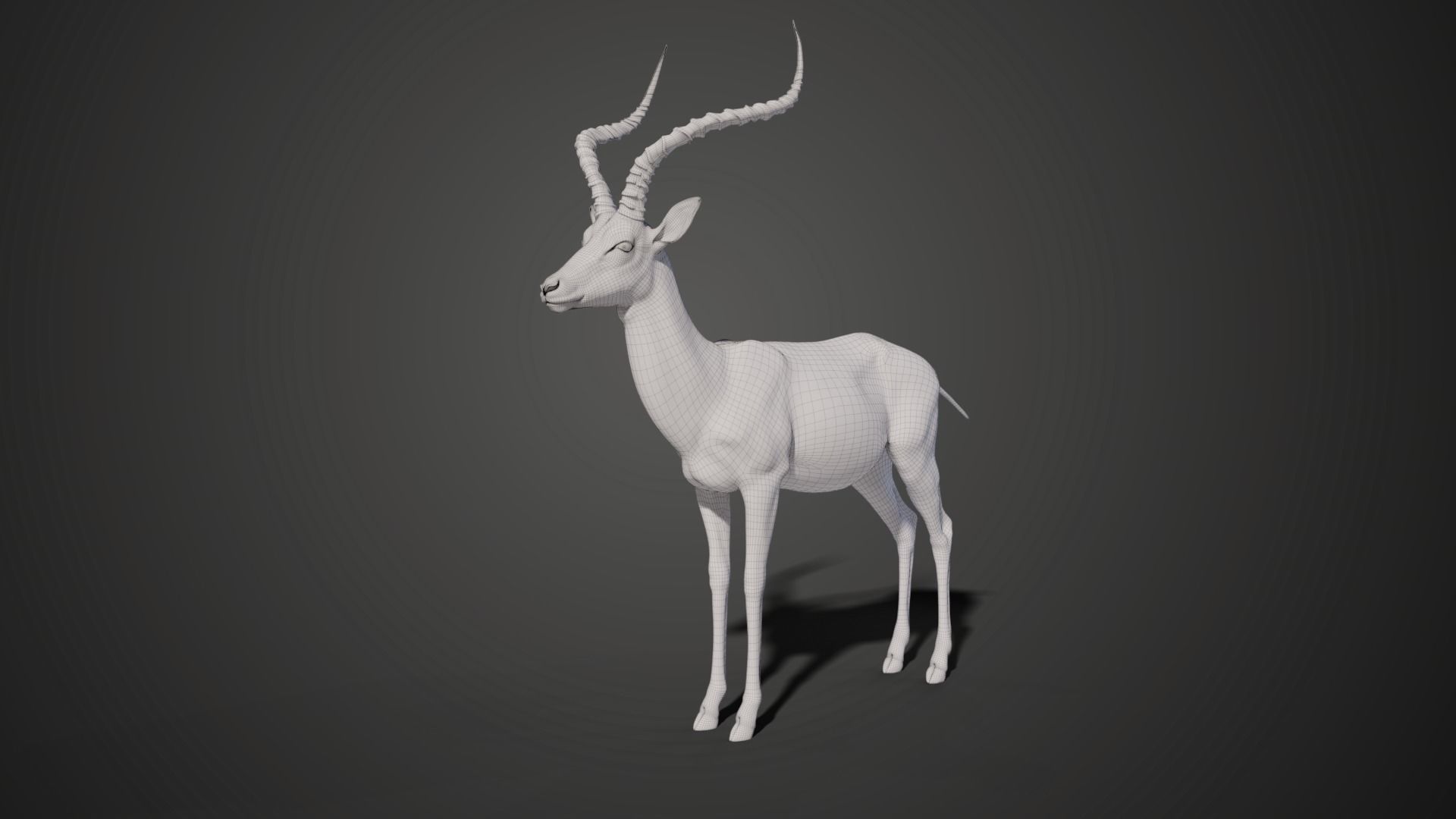 Impala Animated 3D model_18