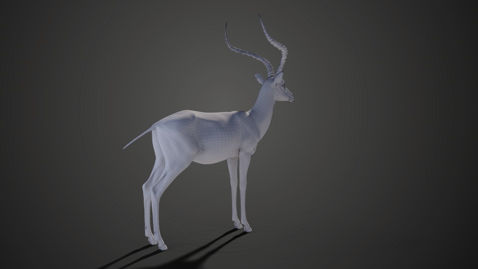 Impala Animated 3D model_19