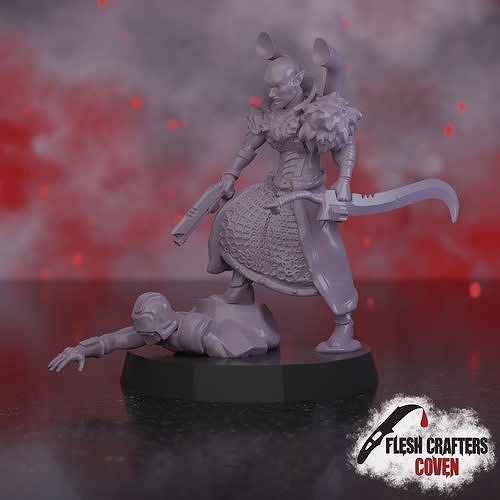 Nosferii - Baron 3D print model