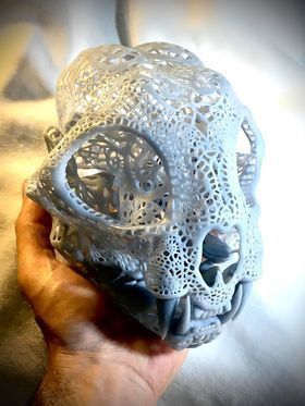 Filigree Anatomical Bobcat Skull - Pre-supported STL 3D print model_4