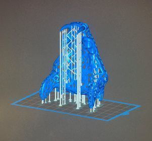 Filigree Anatomical Bobcat Skull - Pre-supported STL 3D print model_10