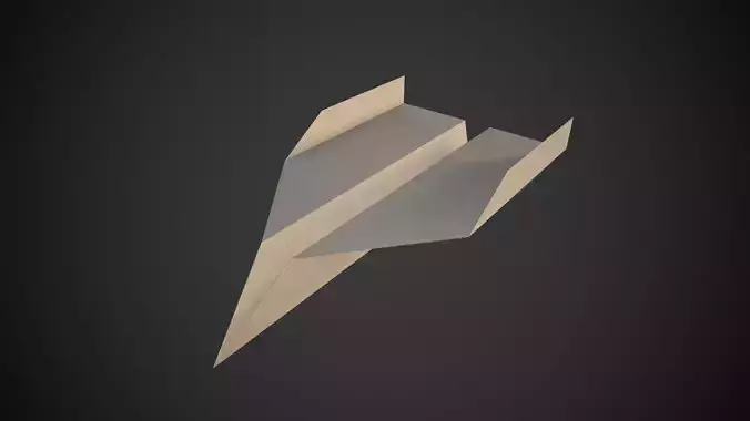 Paper Airplane