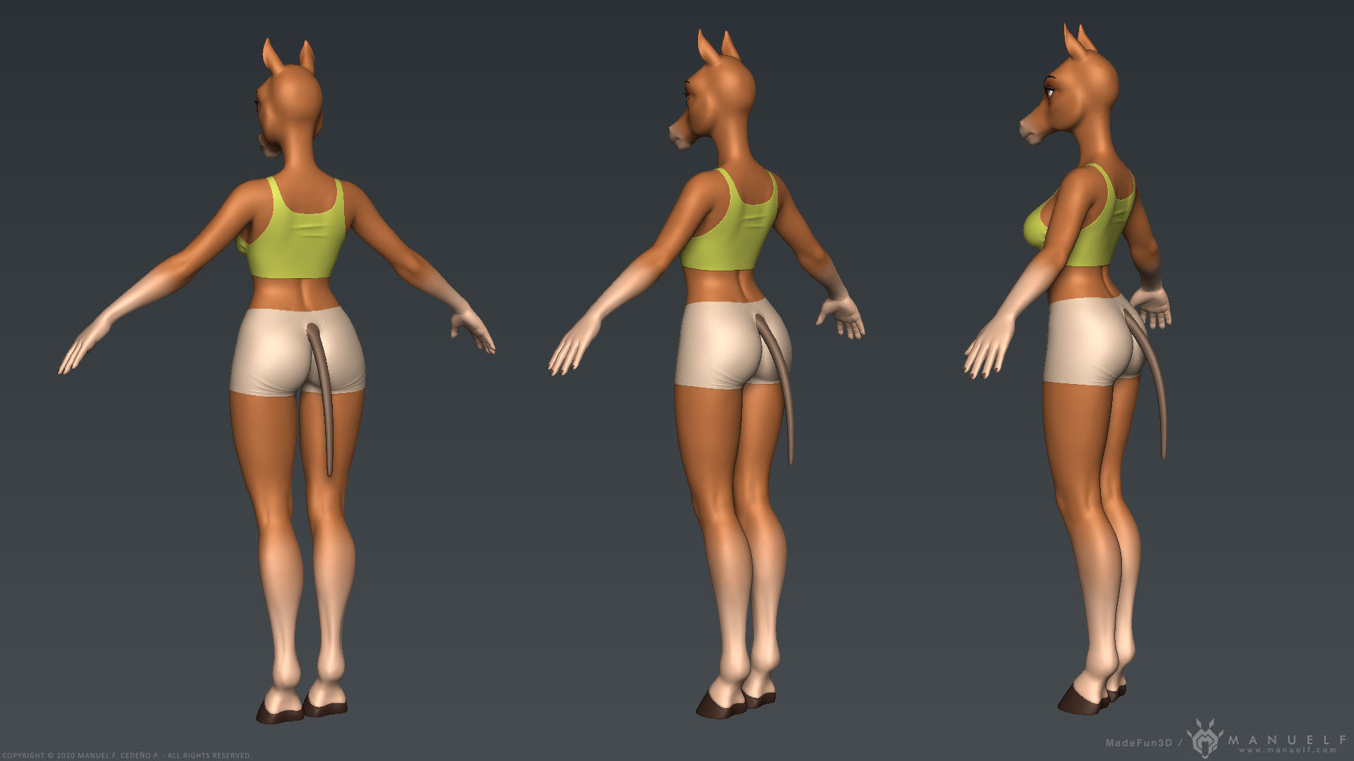 Furry Horse Girl 3D model_10