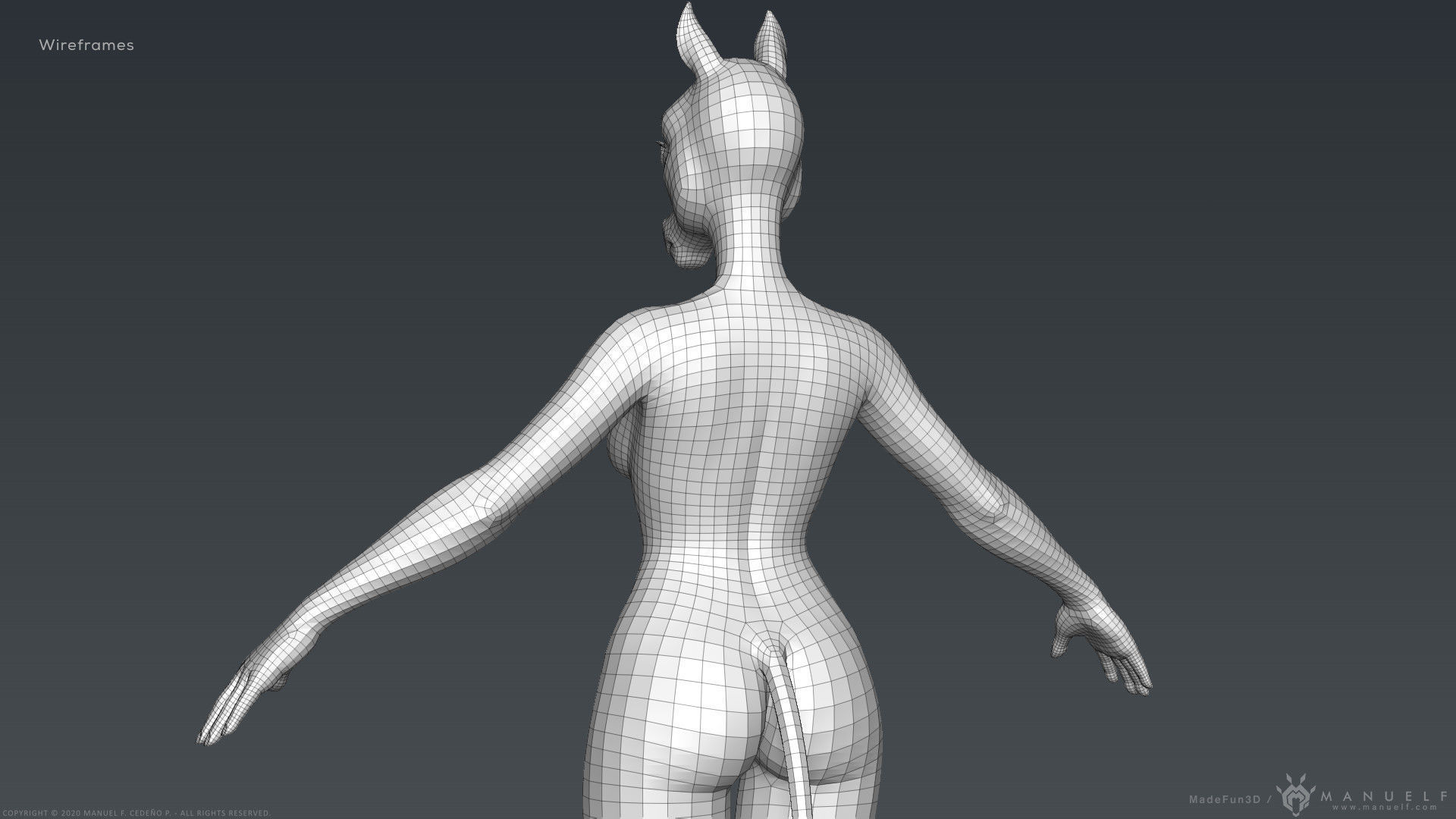 Furry Horse Girl 3D model_32