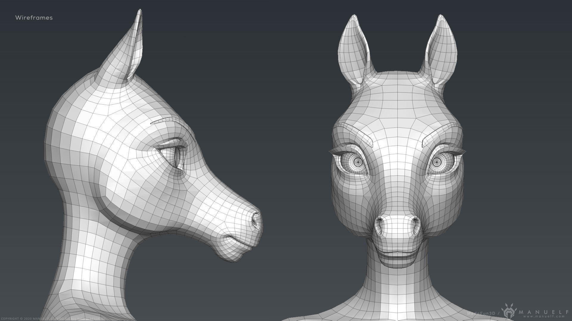 Furry Horse Girl 3D model_35