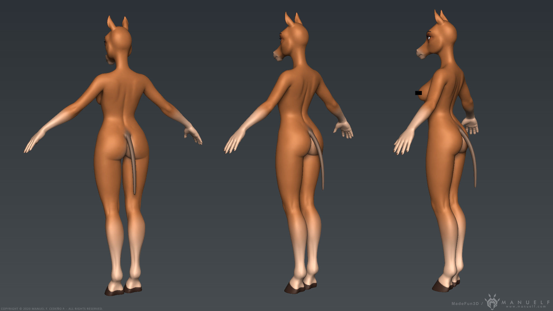 Furry Horse Girl 3D model_11
