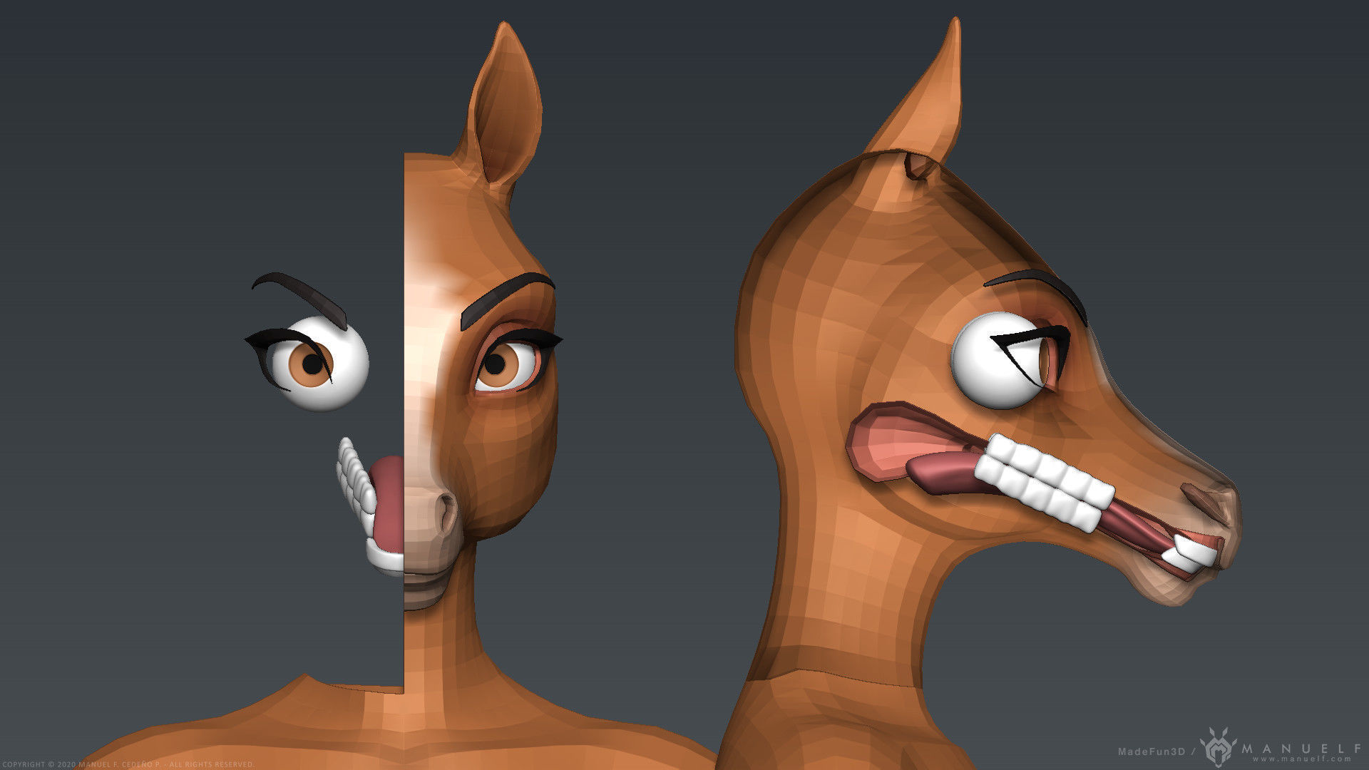 Furry Horse Girl 3D model_25