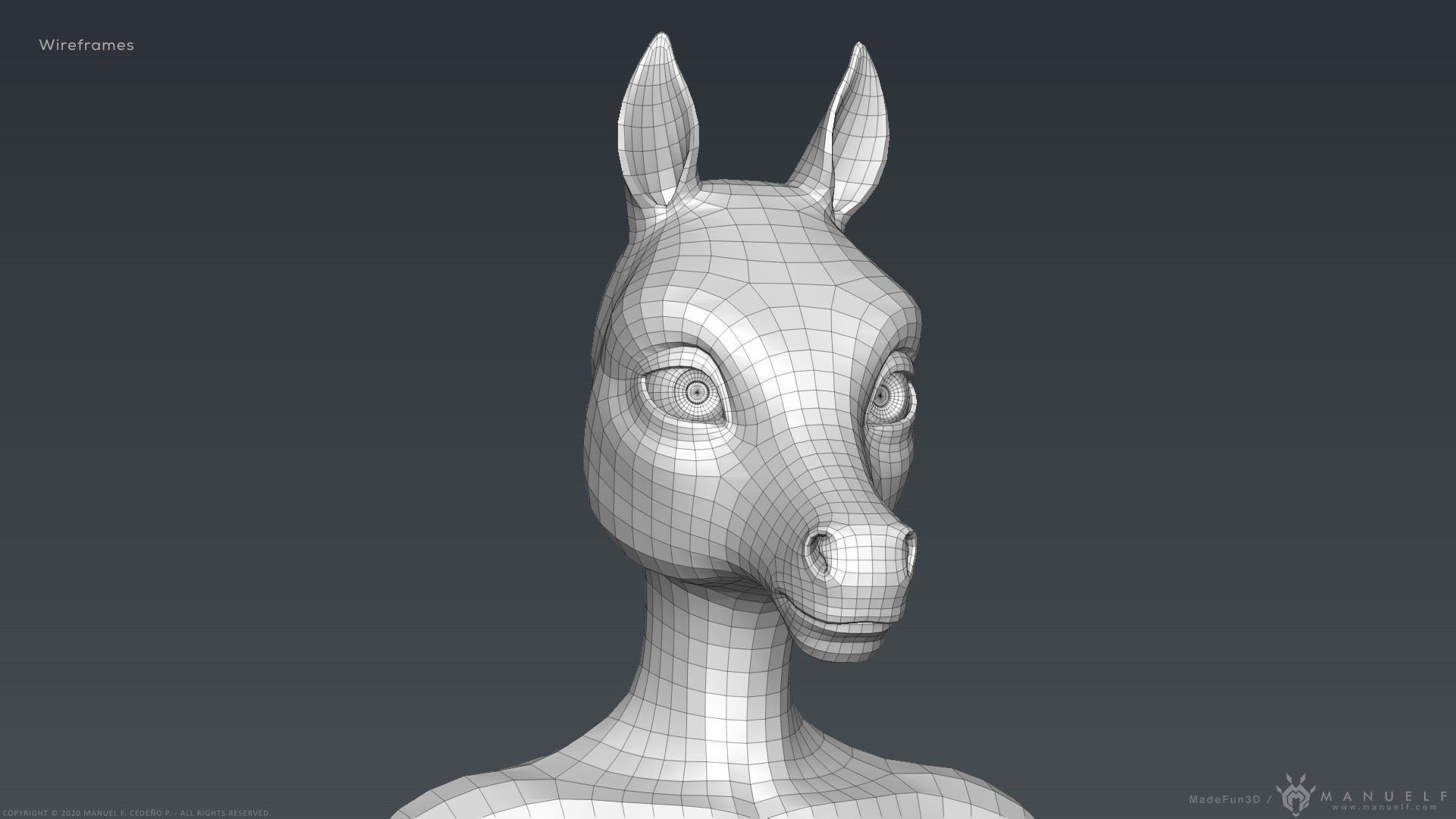 Furry Horse Girl 3D model_34