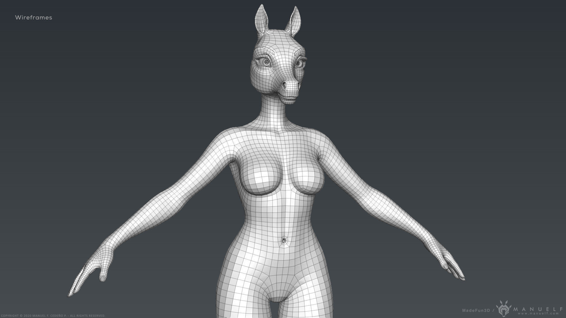 Furry Horse Girl 3D model_31