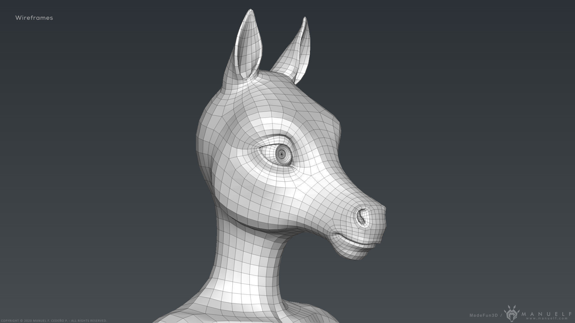 Furry Horse Girl 3D model_33