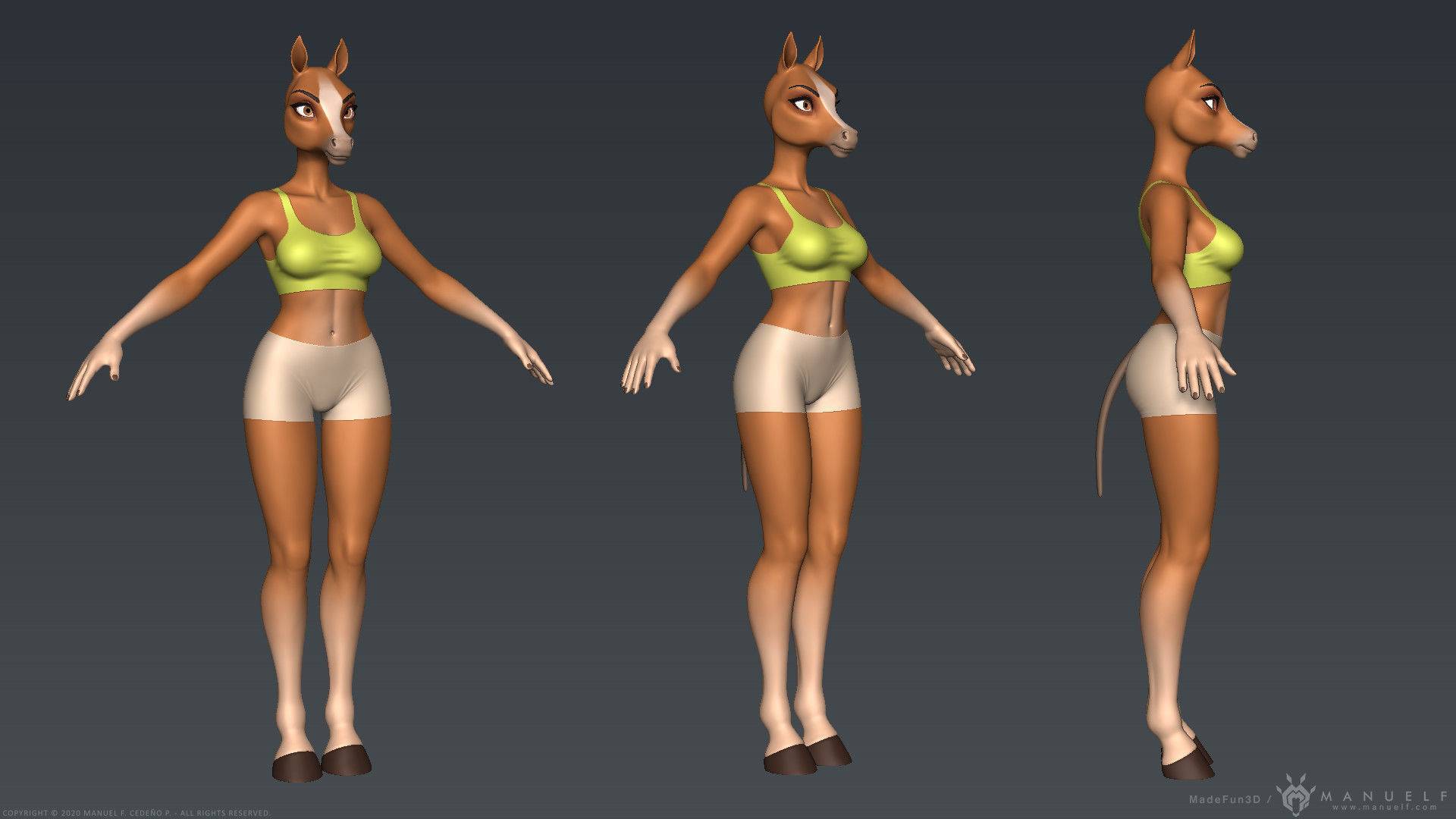 Furry Horse Girl 3D model_13