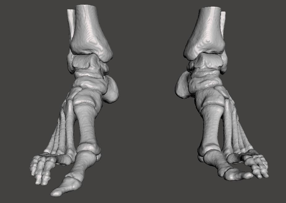 Human Feet - male 3D model_0