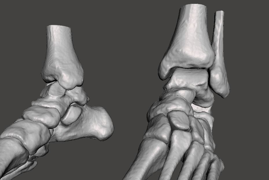 Human Feet - male 3D model_27