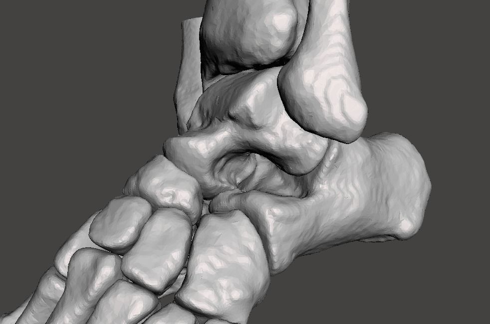Human Feet - male 3D model_24