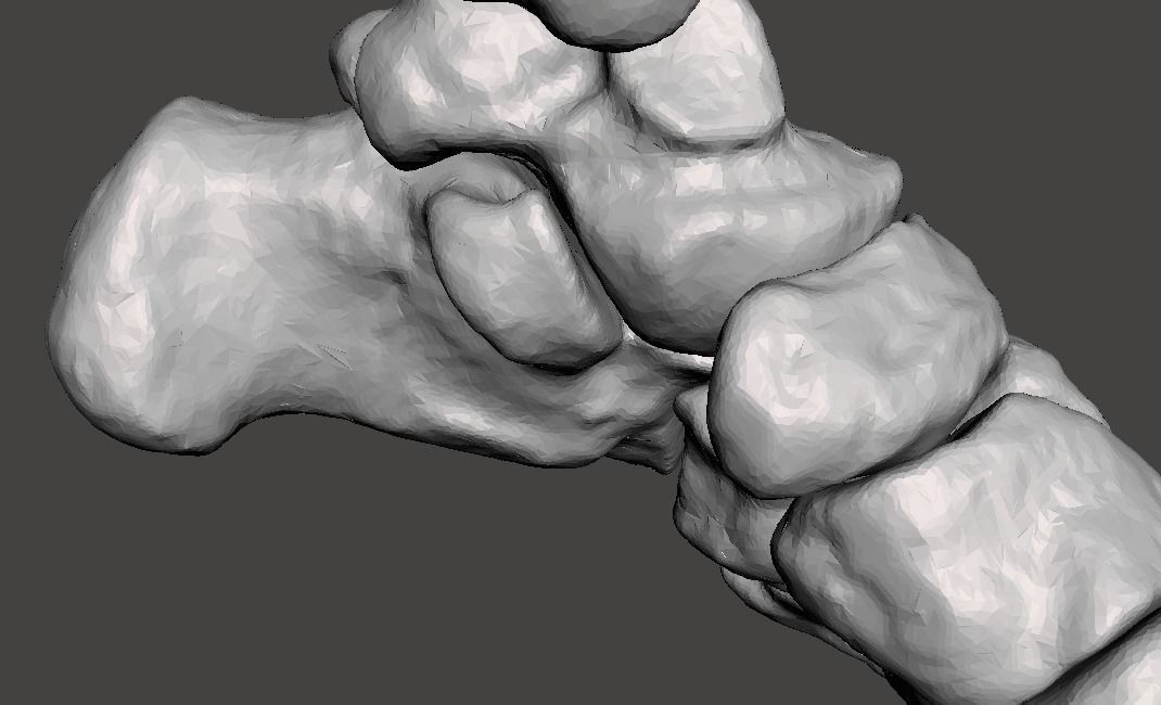 Human Feet - male 3D model_23