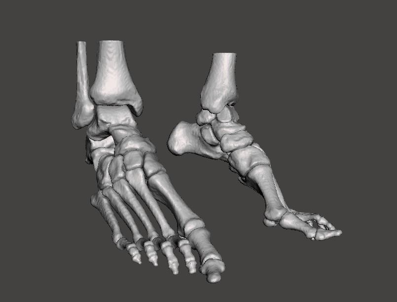 Human Feet - male 3D model_2