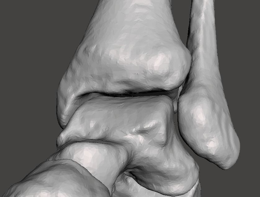 Human Feet - male 3D model_29