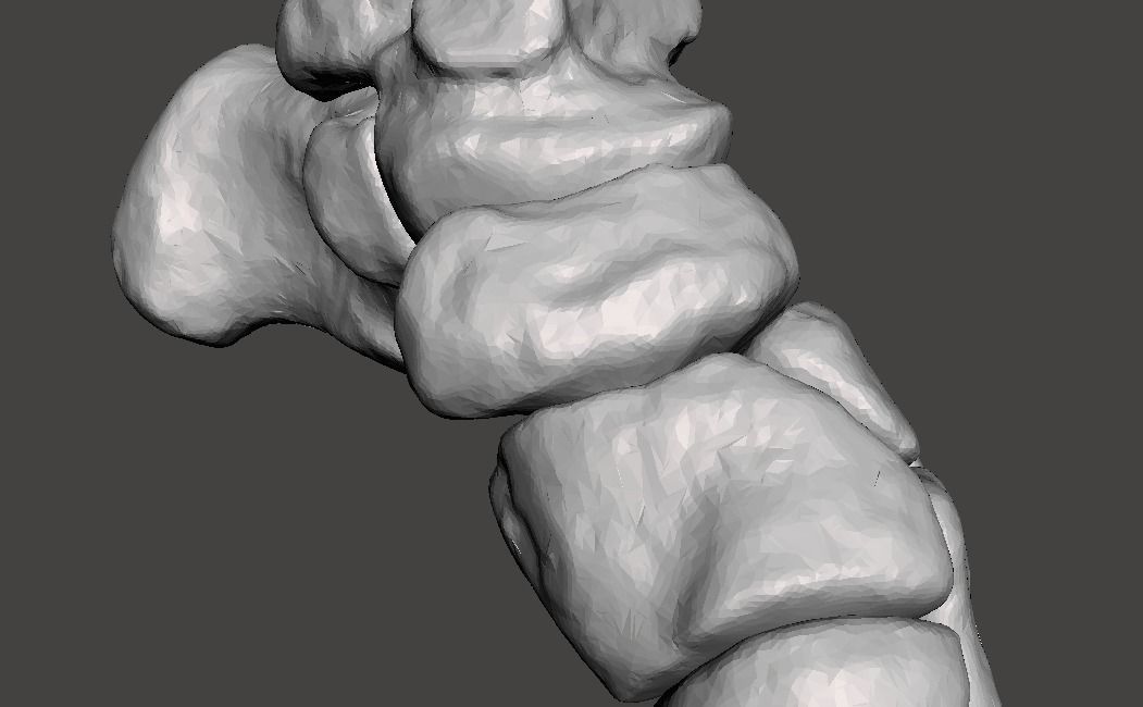 Human Feet - male 3D model_22
