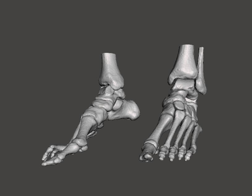 Human Feet - male 3D model_25