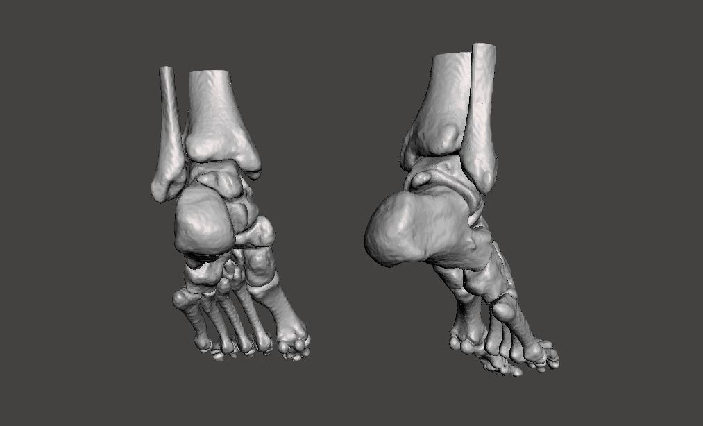 Human Feet - male 3D model_17