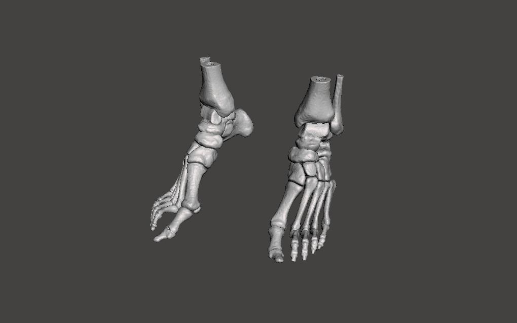 Human Feet - male 3D model_31
