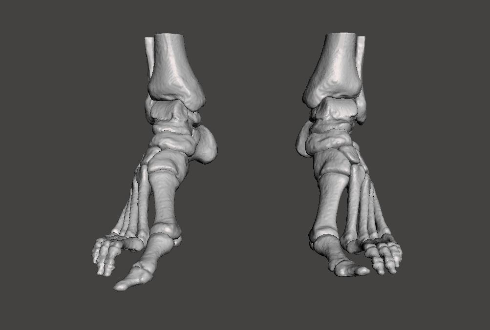 Human Feet - male 3D model_11