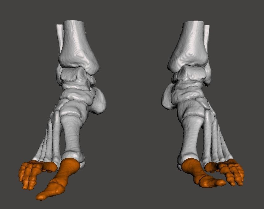 Human Feet - male 3D model_12