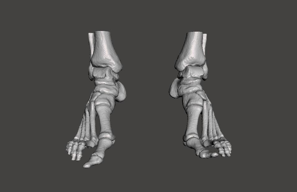 Human Feet - male 3D model_4