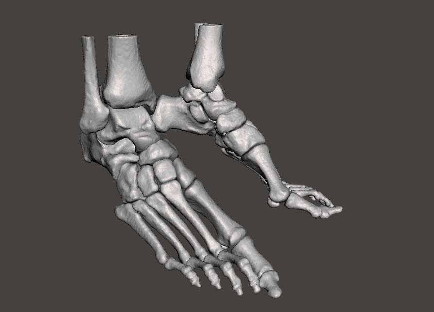 Human Feet - male 3D model_6