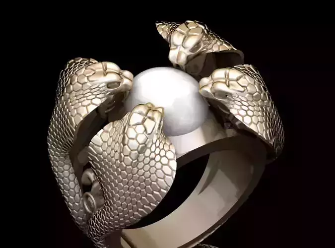 Snake Ring jewelry Print