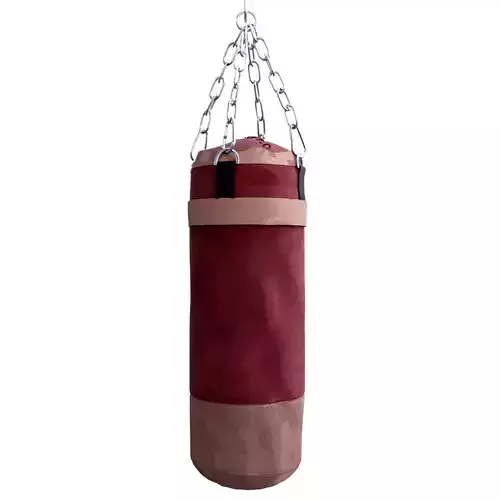 Boxing Bag