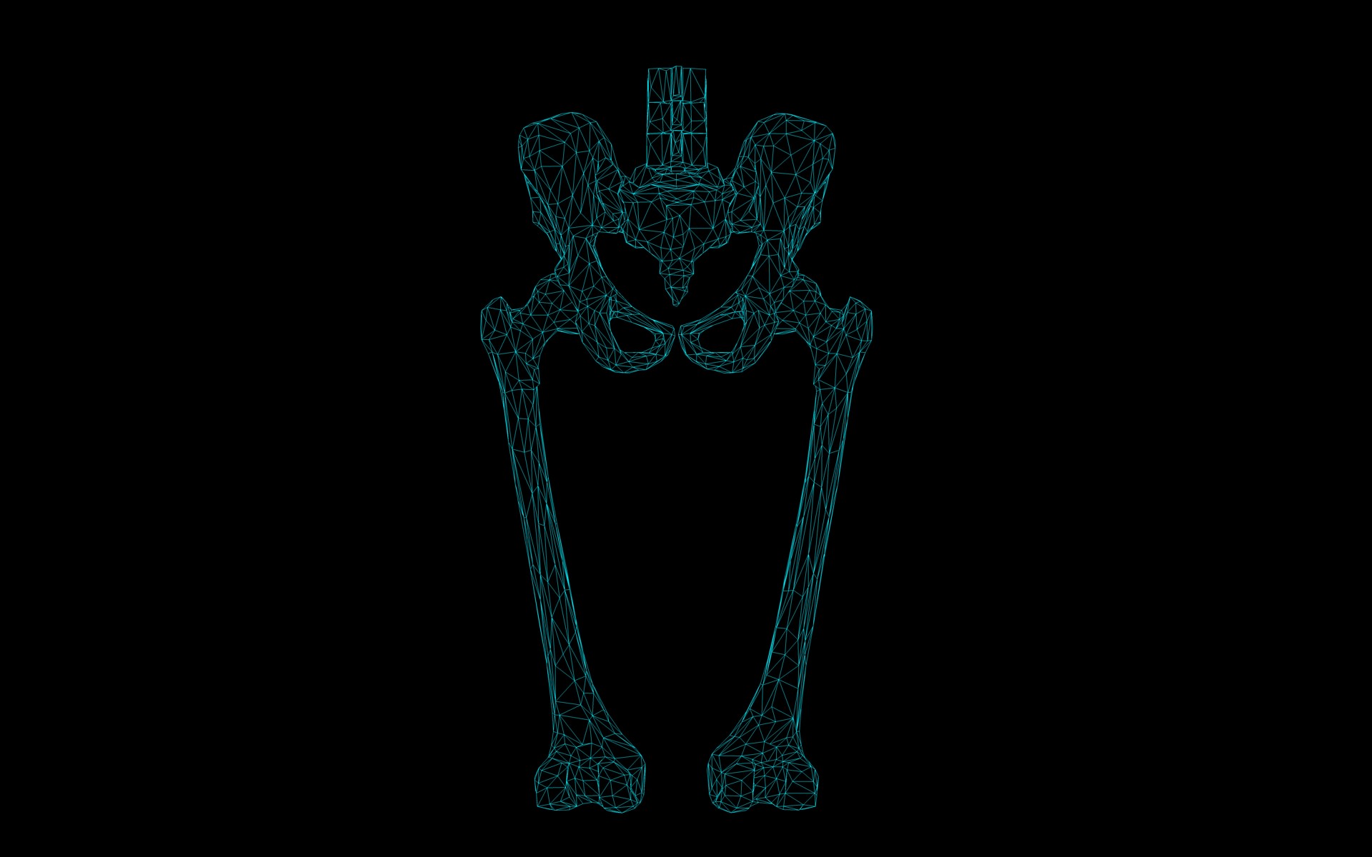 Hip Joint - Hip bone Sacrum Femur - Only bones Medically Accu... 3D model_2