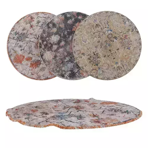 Round Rug Set 41
