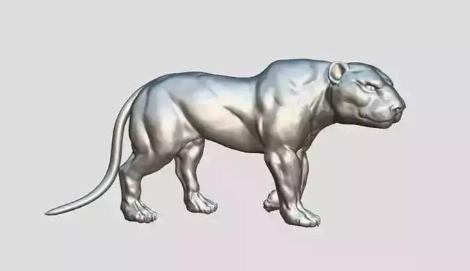 puma lion