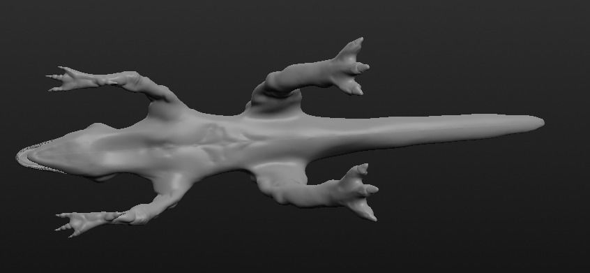 Fantasy Lizard 3D model_4