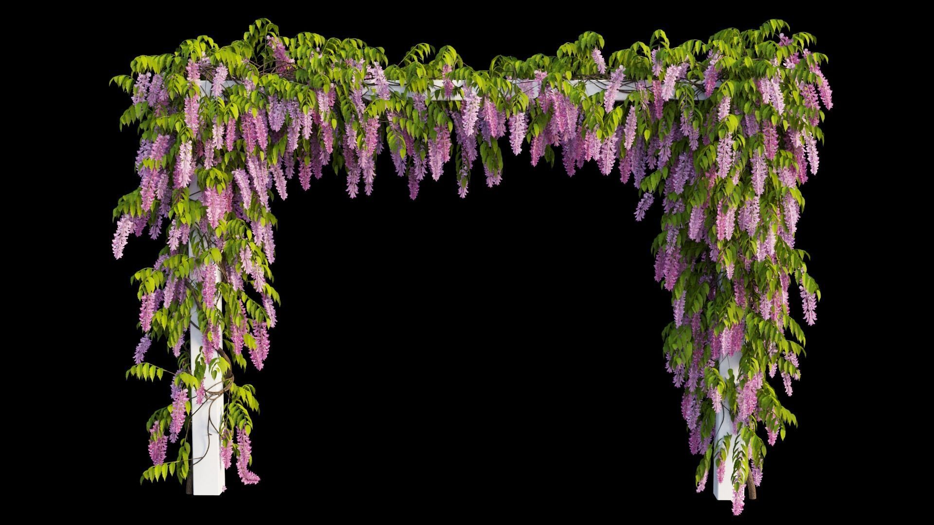 Wisterial tree 11 3D model_9