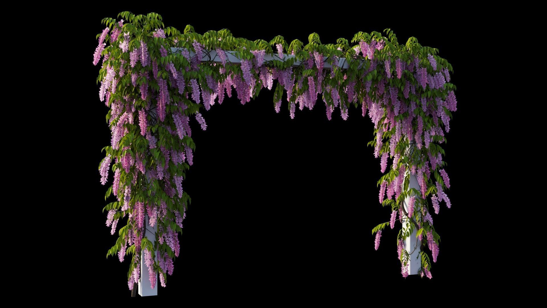 Wisterial tree 11 3D model_8