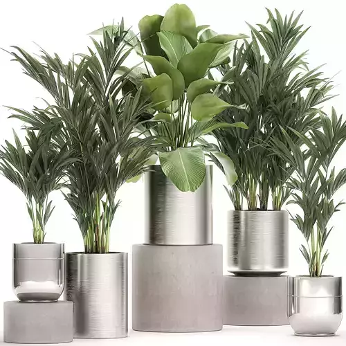 Ornamental plants in a chrome flowerpot 785 3D model