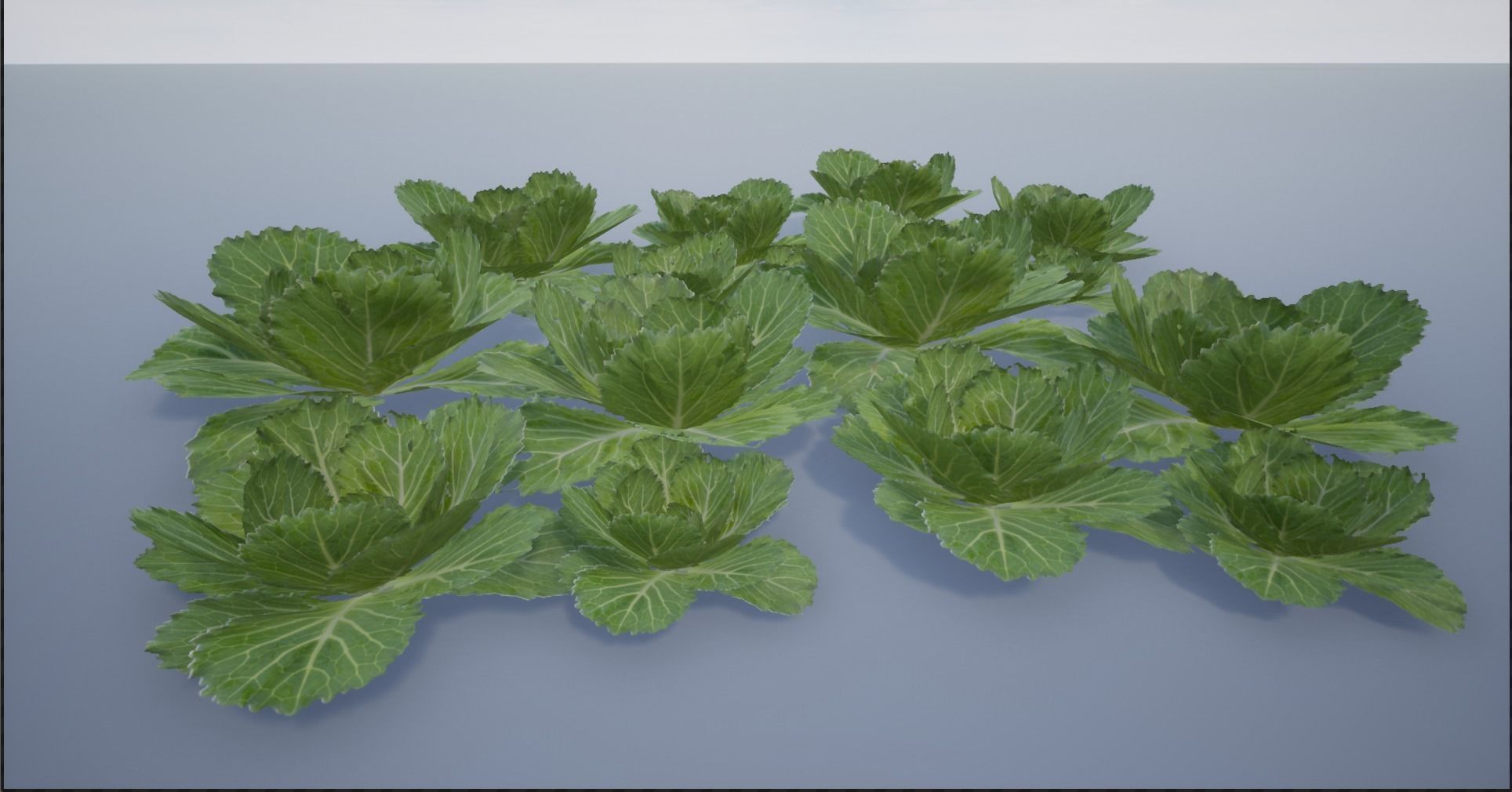 4K Spinach Plant Low-poly 3D model_13
