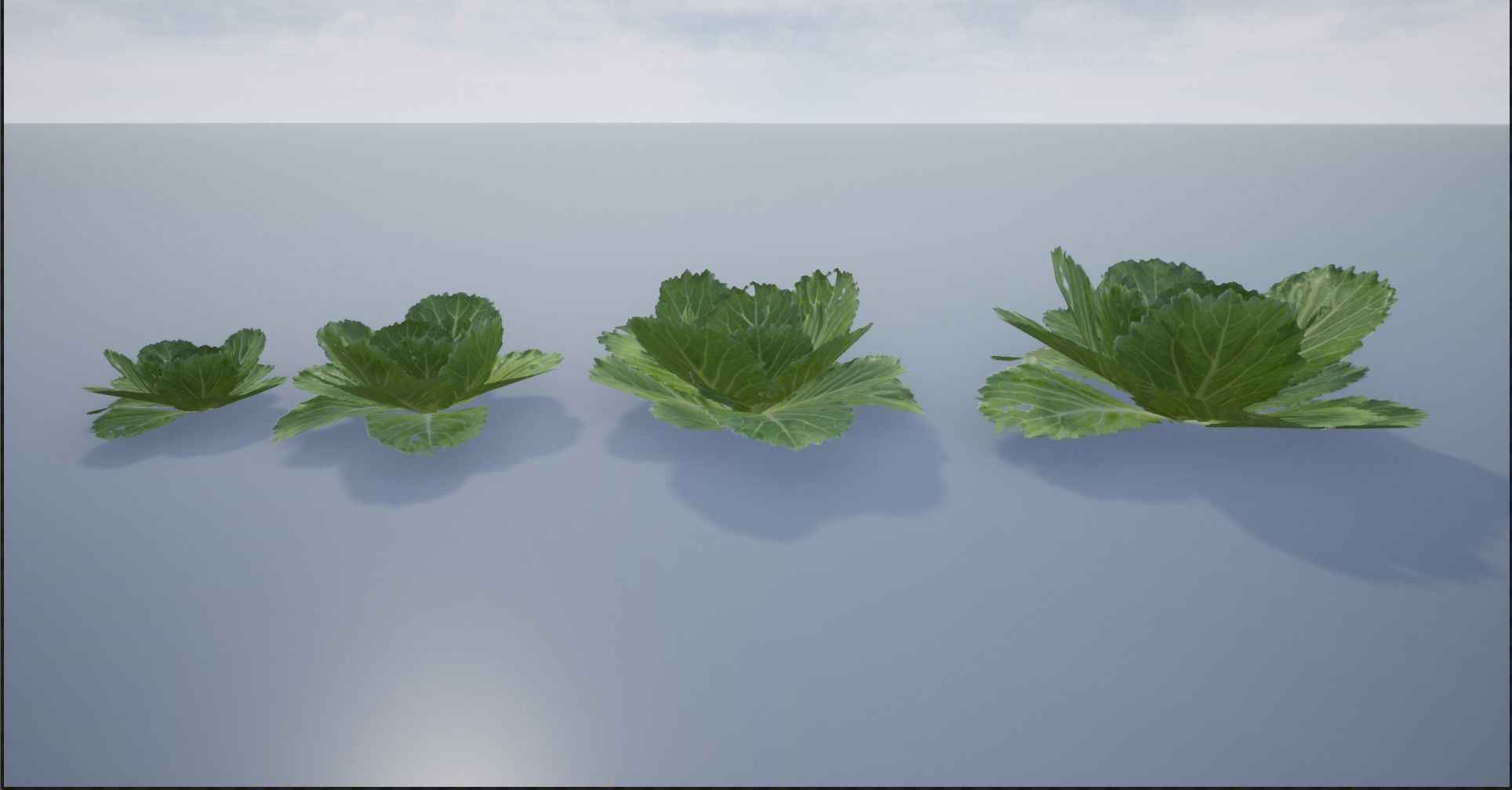 4K Spinach Plant Low-poly 3D model_11