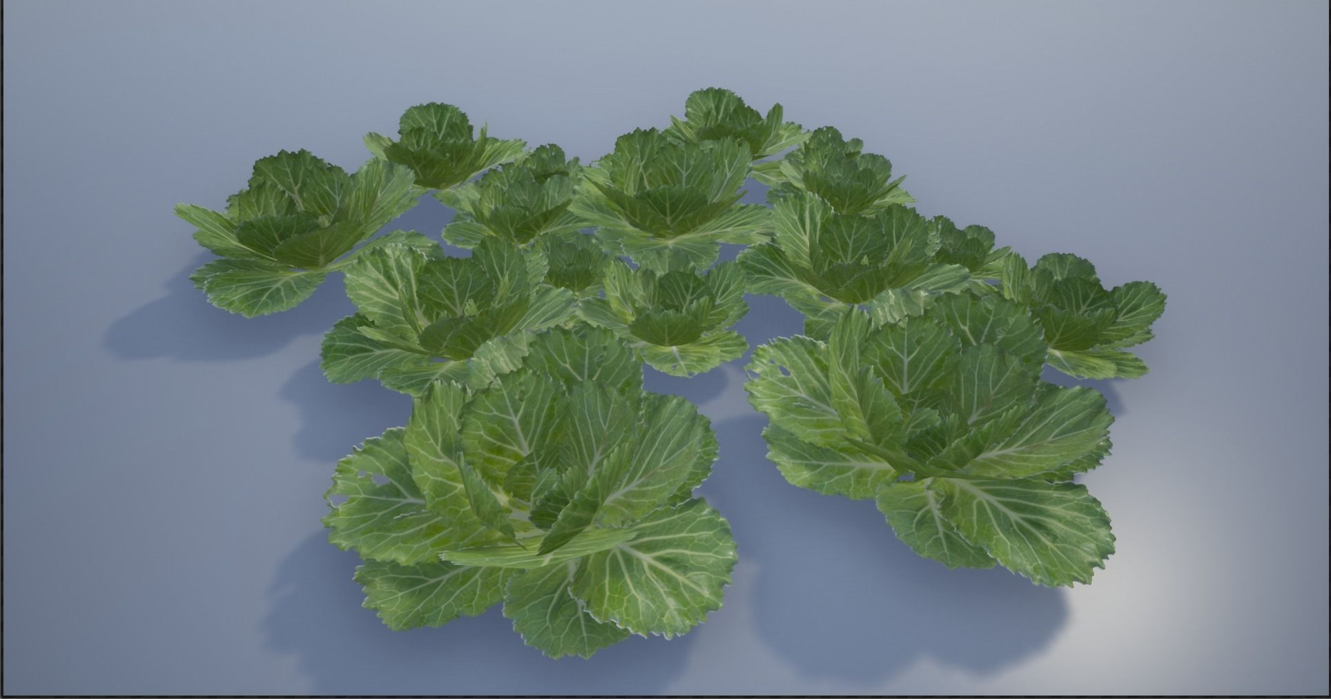 4K Spinach Plant Low-poly 3D model_15