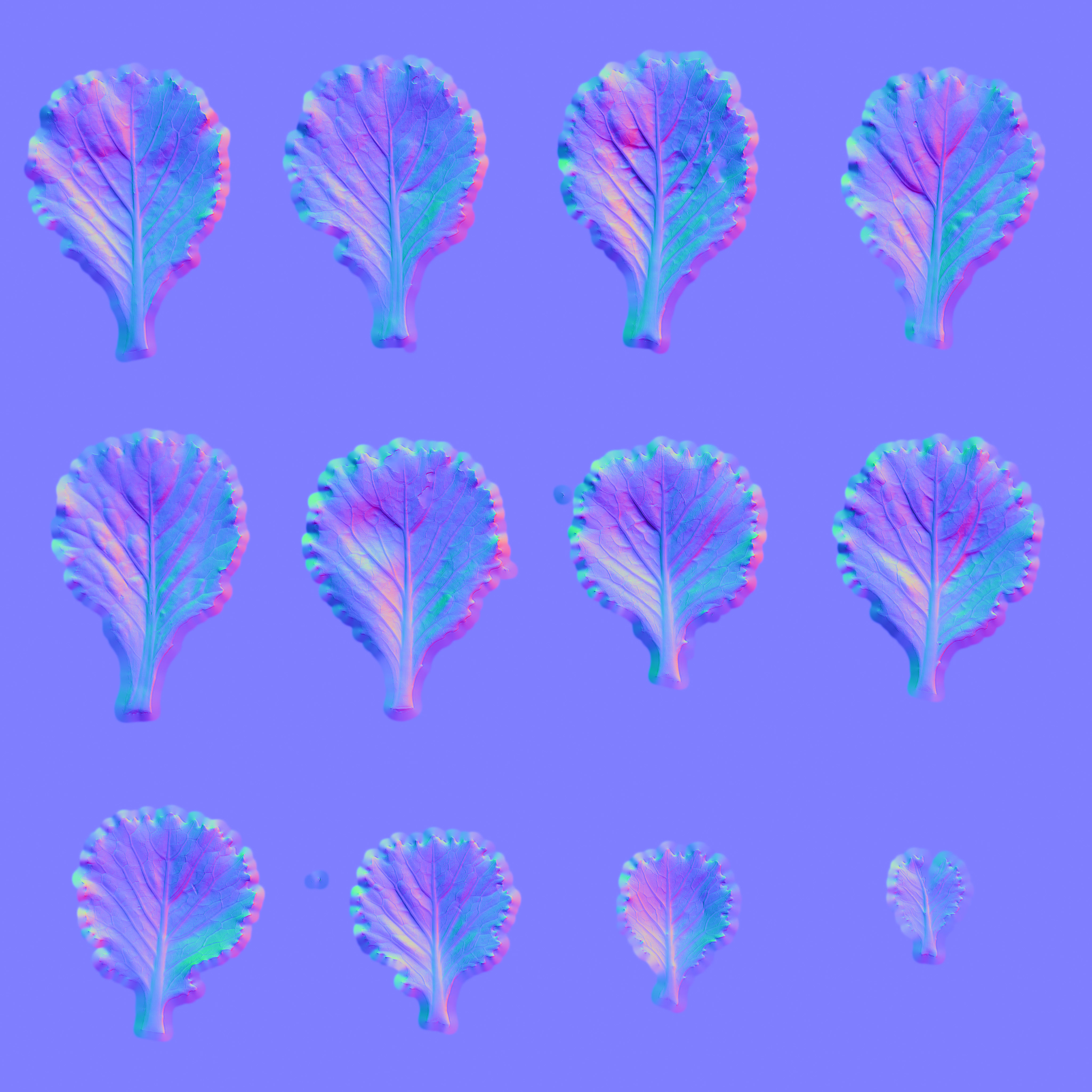 4K Spinach Plant Low-poly 3D model_18