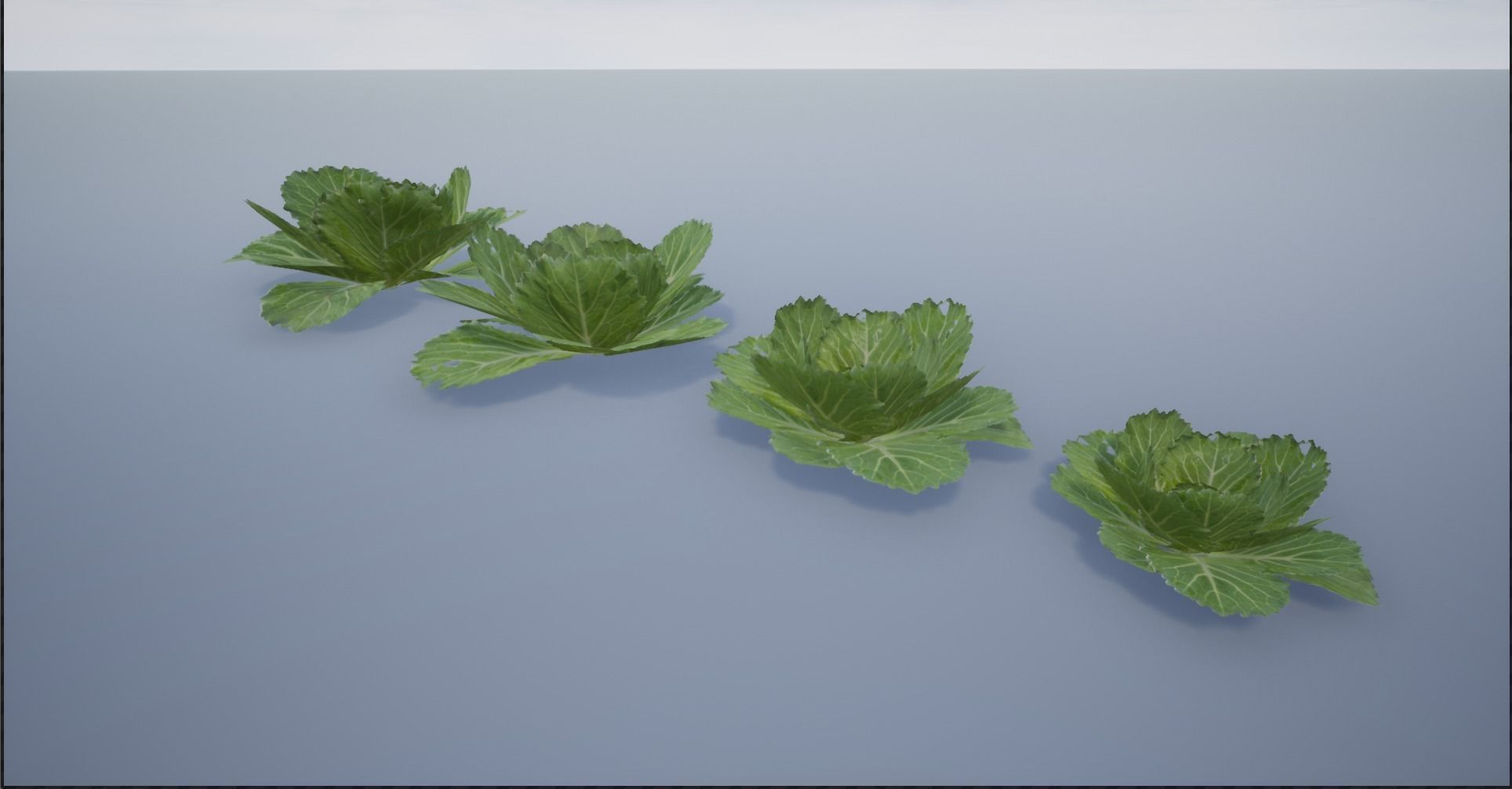 4K Spinach Plant Low-poly 3D model_9