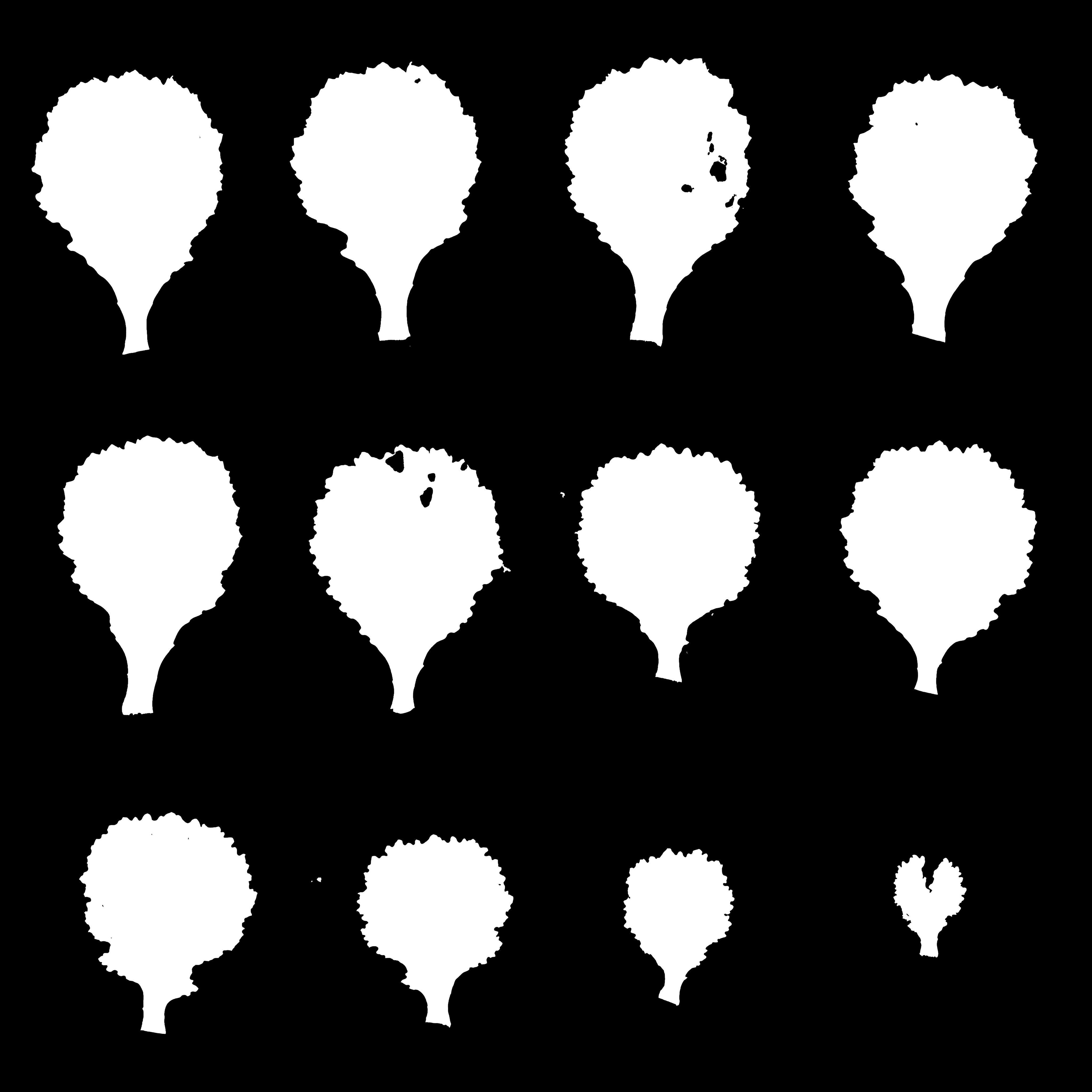 4K Spinach Plant Low-poly 3D model_19